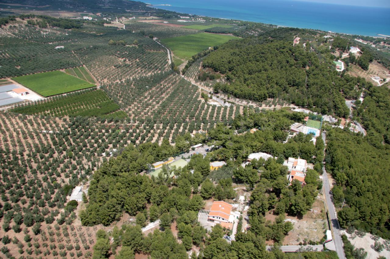 Villaggio Elisena Vieste Exterior foto